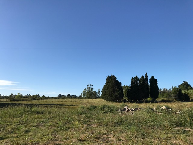 Inmobiliaria Mazzei y Ciappesoni - Propiedad VCA13