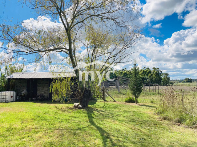 Inmobiliaria Mazzei y Ciappesoni - Propiedad VCA176