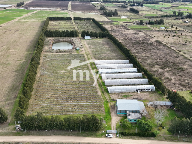Inmobiliaria Mazzei y Ciappesoni - Propiedad AL1188