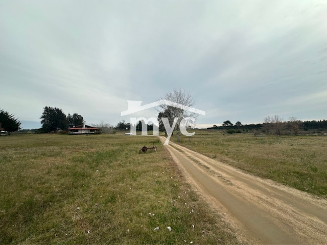 Inmobiliaria Mazzei y Ciappesoni - Propiedad VCA186
