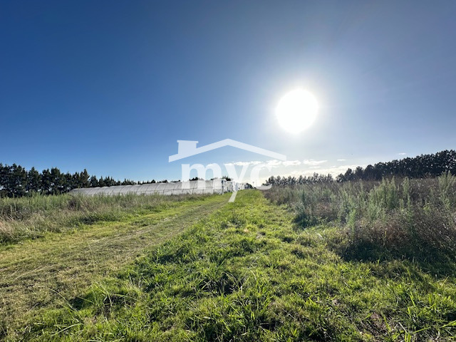 Inmobiliaria Mazzei y Ciappesoni - Propiedad AL1188