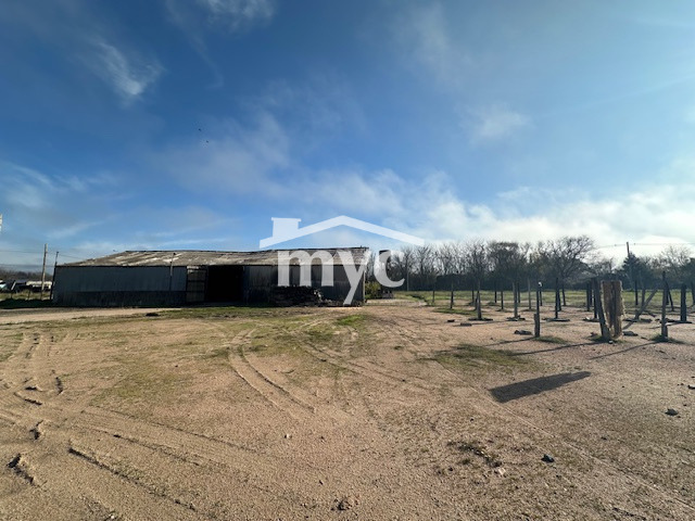 Inmobiliaria Mazzei y Ciappesoni - Propiedad VLG27