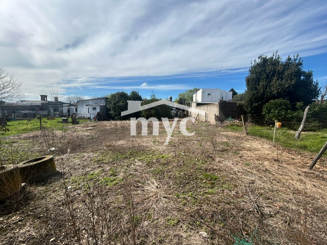 Inmobiliaria Mazzei y Ciappesoni - Propiedad VC399