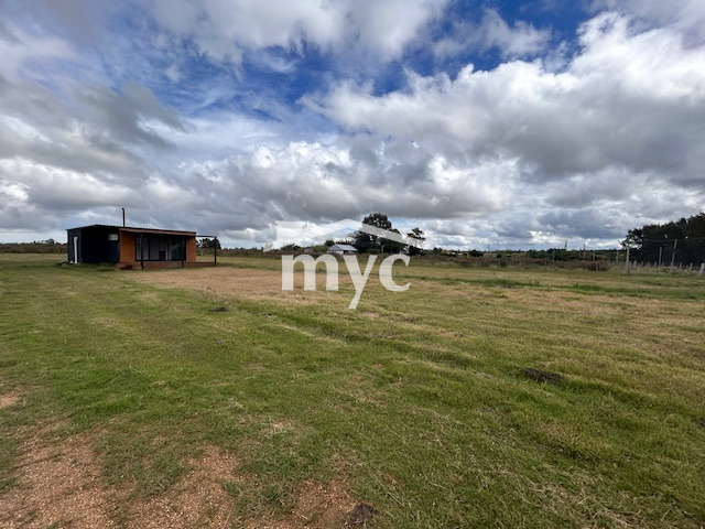 Inmobiliaria Mazzei y Ciappesoni - Propiedad AL1448