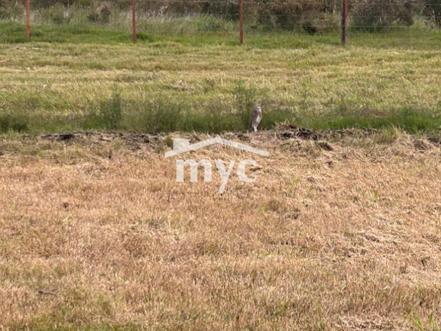 Inmobiliaria Mazzei y Ciappesoni - Propiedad AL1448