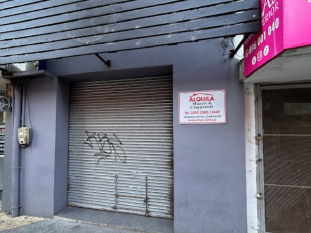 Inmobiliaria Mazzei y Ciappesoni - Propiedad AL1372