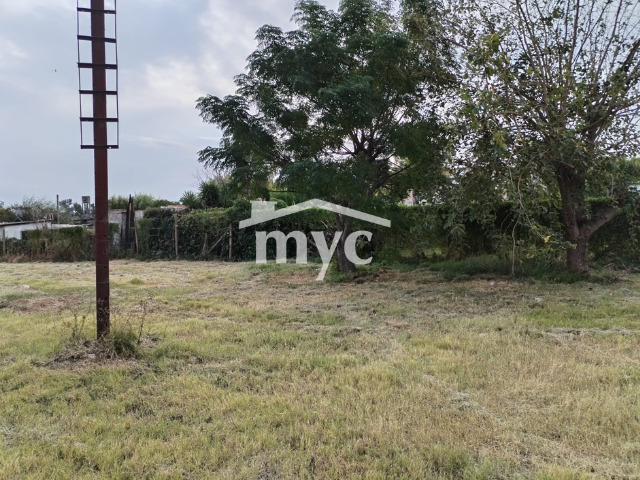 Inmobiliaria Mazzei y Ciappesoni - Propiedad AL1366