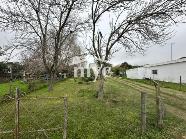 Inmobiliaria Mazzei y Ciappesoni - Propiedad VLG28