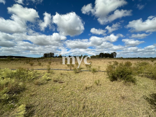 Inmobiliaria Mazzei y Ciappesoni - Propiedad VCA183