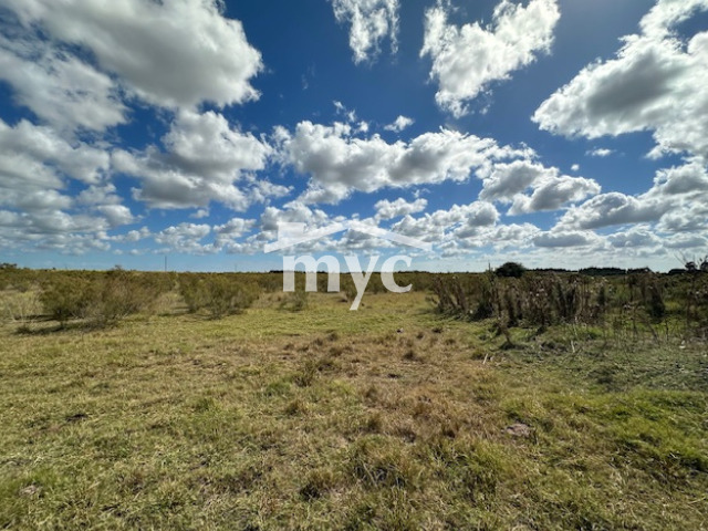 Inmobiliaria Mazzei y Ciappesoni - Propiedad VCA183