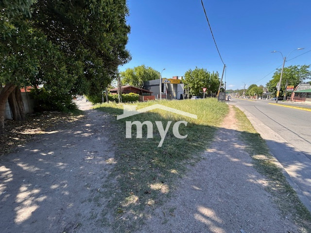 Inmobiliaria Mazzei y Ciappesoni - Propiedad VT104