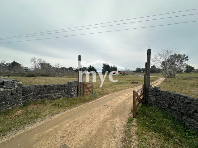 Inmobiliaria Mazzei y Ciappesoni - Propiedad VT106