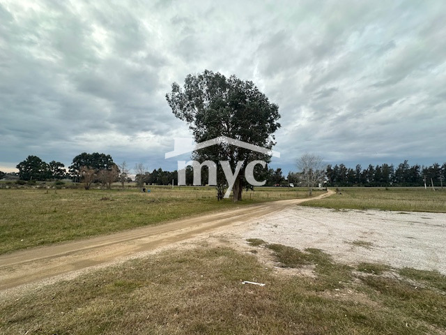 Inmobiliaria Mazzei y Ciappesoni - Propiedad VT106