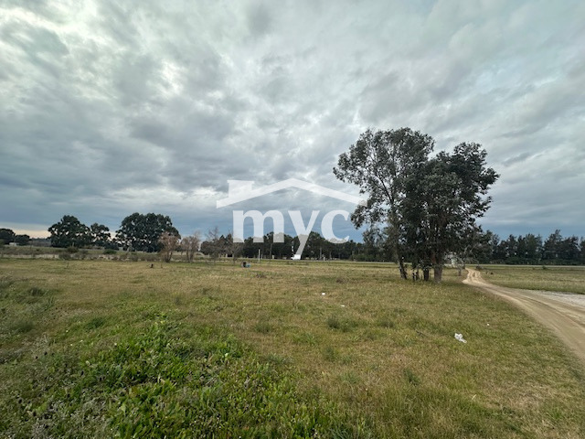 Inmobiliaria Mazzei y Ciappesoni - Propiedad VT106