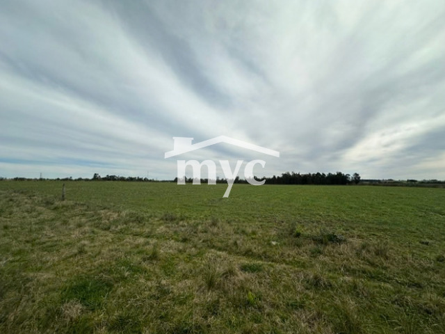 Inmobiliaria Mazzei y Ciappesoni - Propiedad VCA187