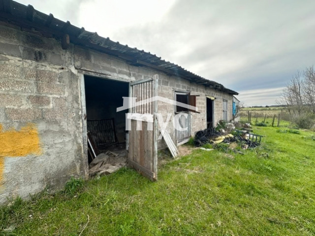 Inmobiliaria Mazzei y Ciappesoni - Propiedad VCA187