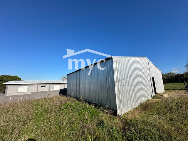 Inmobiliaria Mazzei y Ciappesoni - Propiedad AL1236